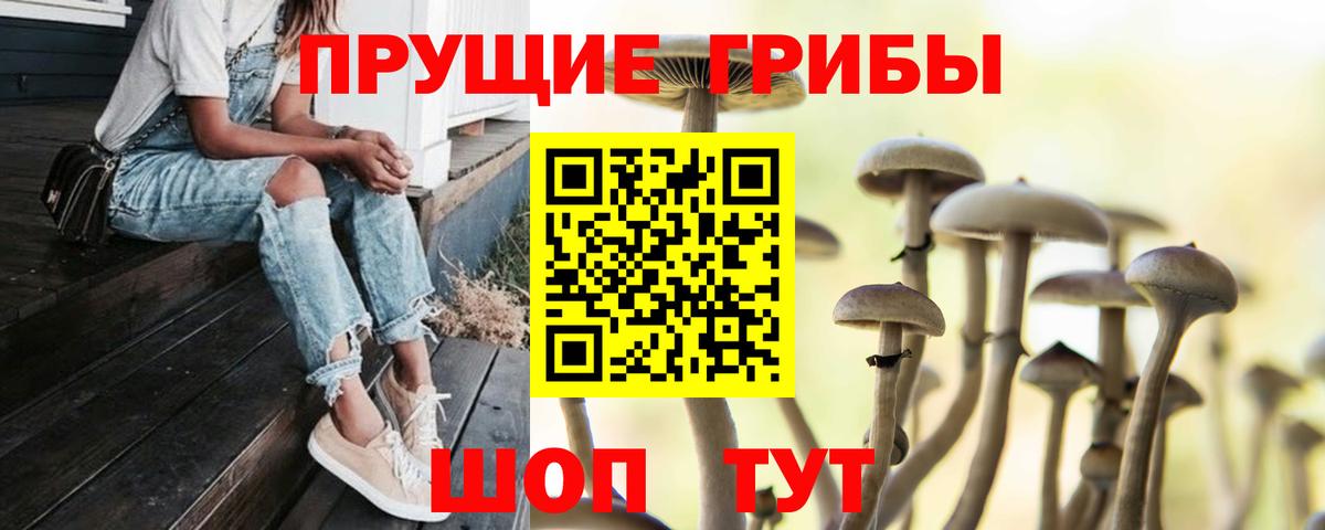 Сатка  Галлюциногенные грибы MAGIC MUSHROOMS  Галлюциногенные грибы мицелий  Вход с VPN 